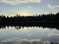 AnneW_20230803_64cbe01f252d0.jpeg
