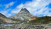 AnneW_20230813_64d925c410de6.jpg