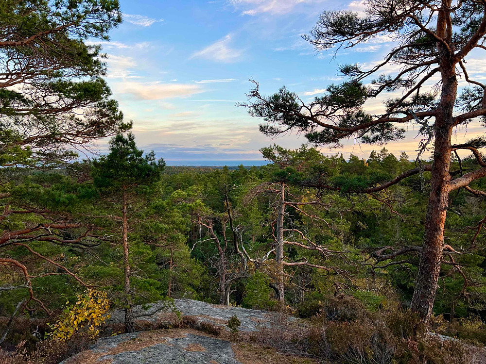 Utsikt mot havet fra Sjømannsheia