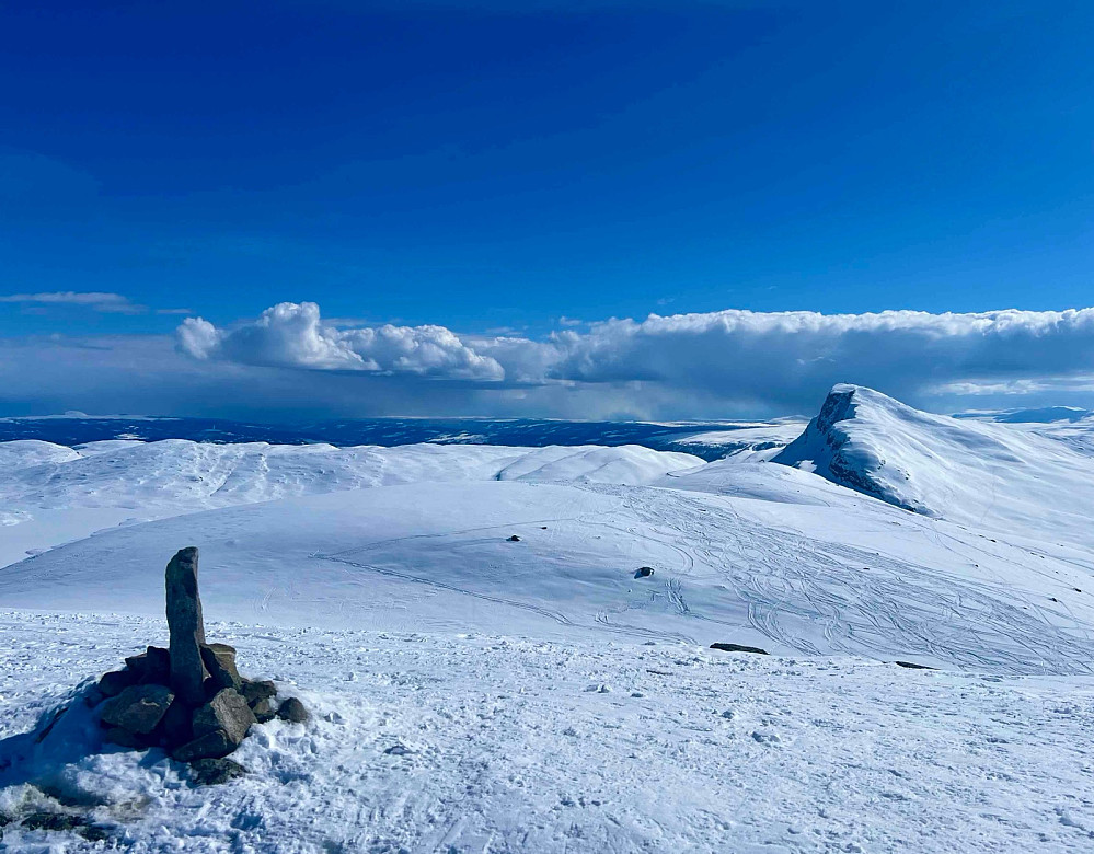 Synshorn med Bitihorn i bakgrunnen