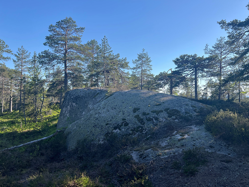 Guritjernkollen