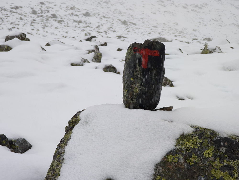 Mye snø gjorde det litt tungt og vanskelig å gå i ura