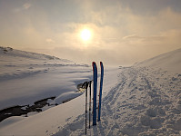 AnneW_20241214_675d8db51d3c6.jpg