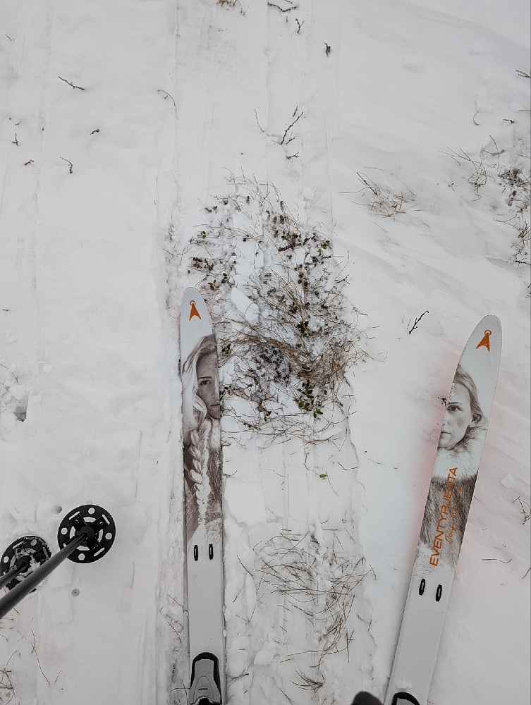 Omtrent ikke snø...ble bedre etterhvert!