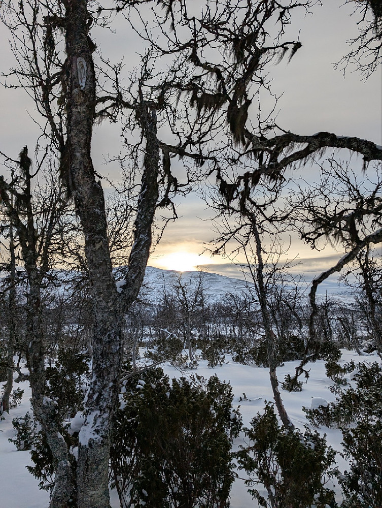Langehovda utsikt mot Gilafjellet