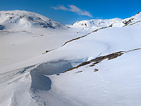 AnneW_20250406_67f2b084d17b6.jpg