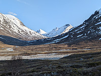 AnneW_20250608_684540fa9849e.jpg
