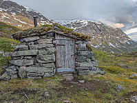 AnneW_20250624_685af247bb1aa.jpg