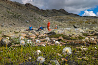AnneW_20250815_689f5ee5a3670.jpg