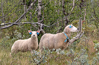 AnneW_20250815_689f5f56e851d.jpg