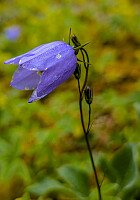 AnneW_20250815_689f5f5ee2553.jpg
