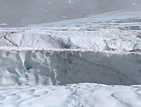 AnneW_20250815_689f7b39527c0.jpg