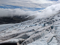 AnneW_20250815_689f7b3da849d.jpg