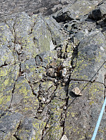 AnneW_20250815_689f7b45d0c62.jpg