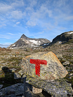 AnneW_20250815_689f82da6819e.jpg