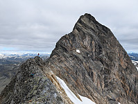 AnneW_20250815_689f82f14b327.jpg