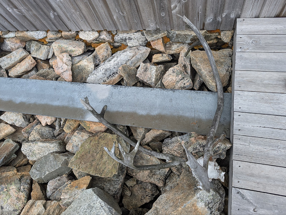 ....slik gikk det med forrige gjest på hytta her