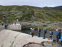 AnneW_20250825_68ac139b85b3d.jpg
