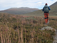 AnneW_20250825_68ac1447c027e.jpg