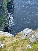 grolyseng_20210712_60ec196c4766f.jpg