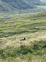 grolyseng_20210712_60ec196ce2852.jpg