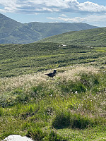 grolyseng_20210712_60ec196dac7b8.jpg