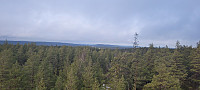Storen_20220215_620beafd1ccc8.jpg