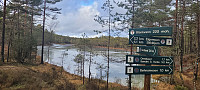Storen_20220215_620beb0291099.jpg