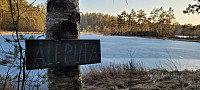 Storen_20220322_6239a3b091361.jpg