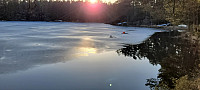 Storen_20220322_6239a3b114c21.jpg