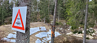 Storen_20220407_624ec02a6d906.jpg