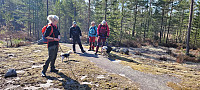 Storen_20220418_625dbd9b411be.jpg