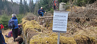 Storen_20220424_626559b5c0258.jpg