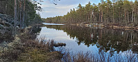 Storen_20220504_6272d07fea114.jpg