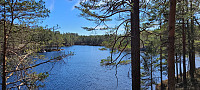 Storen_20220506_627565c5a9d03.jpg
