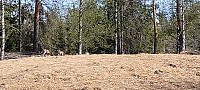 Storen_20220507_627677f9b28b1.jpg