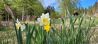 Storen_20220514_627fd09bcdf7c.jpg