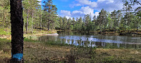 Storen_20220525_628e63423a615.jpg