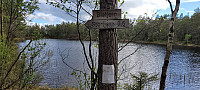 Storen_20220525_628e6343c4653.jpg