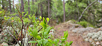 Storen_20220525_628e634743619.jpg