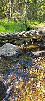 Storen_20220614_62a8a381df137.jpg
