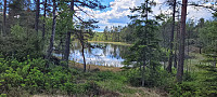 Storen_20220614_62a8a3827ca8b.jpg