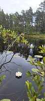 Storen_20220621_62b1d2fc1ca84.jpg