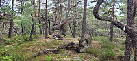 Storen_20220625_62b70b256c647.jpg
