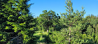 Storen_20220629_62bc94d3e0221.jpg