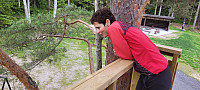 Storen_20220706_62c5caf6650fb.jpg