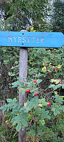 Storen_20220920_632a1254d9512.jpg