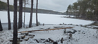Storen_20230326_642027a24730d.jpg