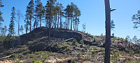 Storen_20230421_64428583dc041.jpg