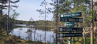 Storen_20230603_647b73e983615.jpg